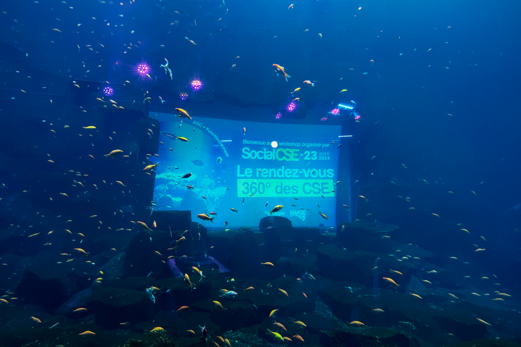 Image principale Aquarium