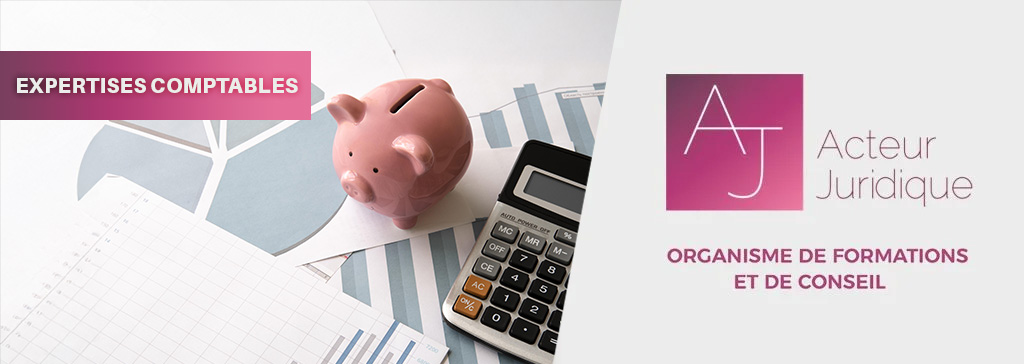 Acteur juridique - 1