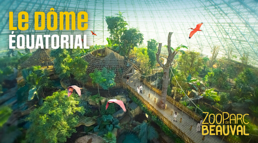 5_Carrousel_Dome_1920x1067