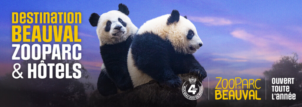 WEB_Banniere_SiteSocialCSE_1920x683