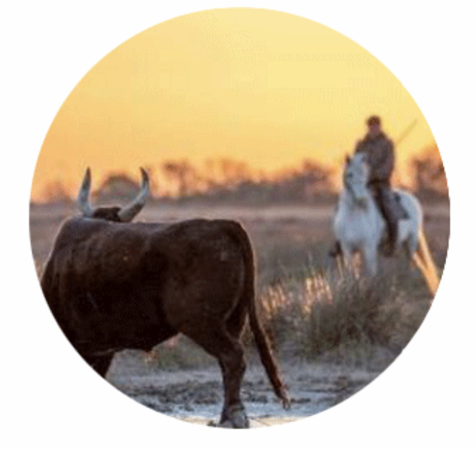 d48fa96963fc915758ff743f4a978fd54b98d041583f1f88f3c81bd3253e1fe3