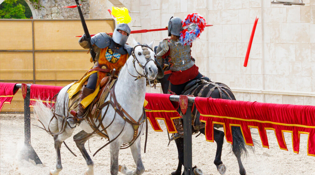 HD Spectacle équestre 0525 - © LDS (2) ok